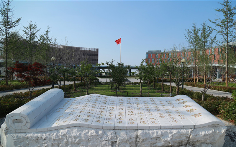 庭审现场变身“业务课堂”
